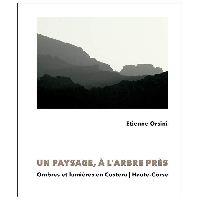 Etienne Orsini > Un paysage, à l'arbre près