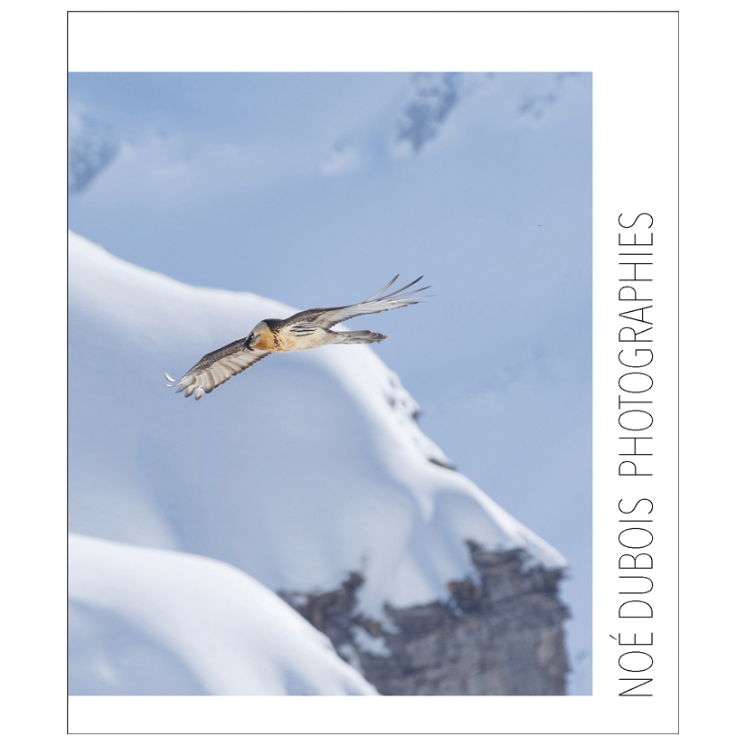 Noé Dubois > Photographies